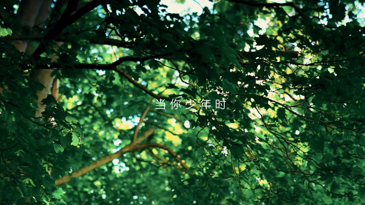 《 少年》MV电影机机必出电影质感 