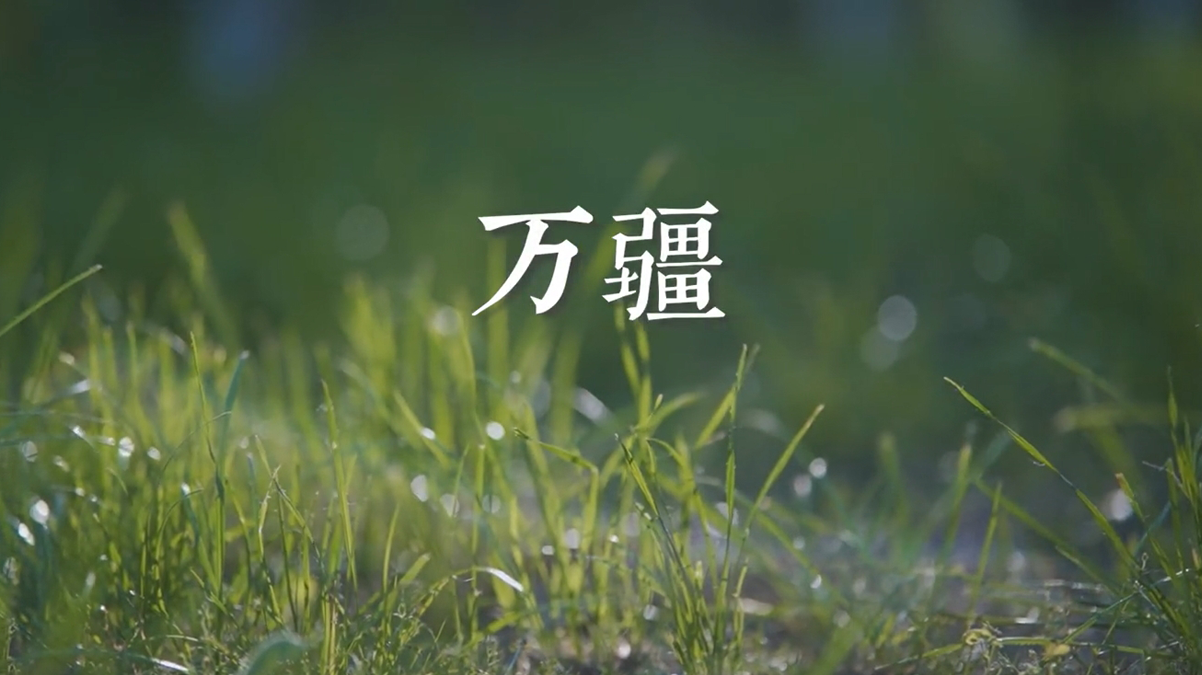 童声MV《万疆》-周清【风不息】 