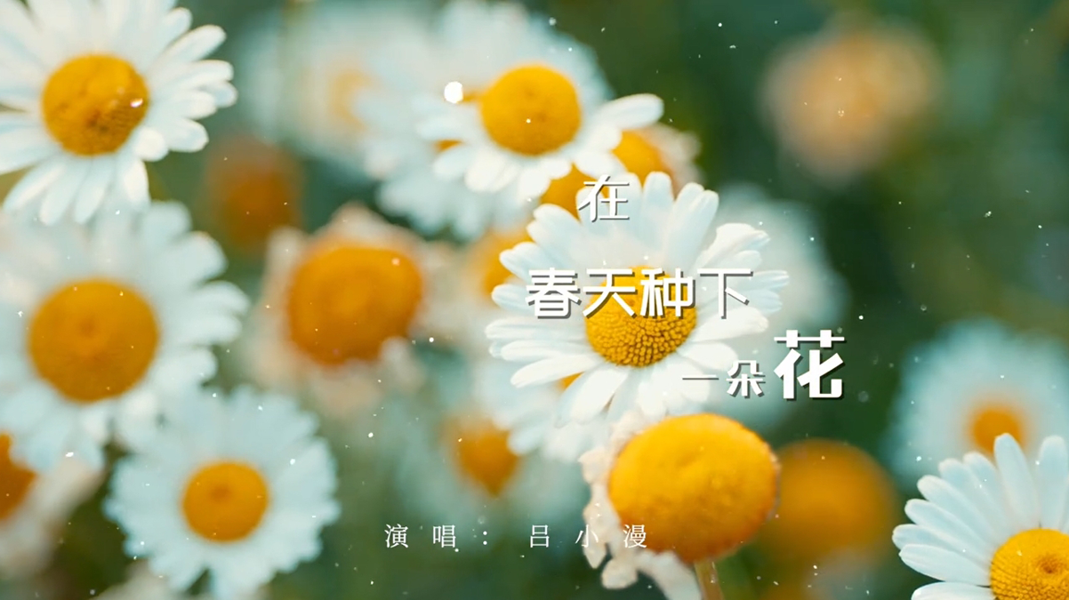 《在春天种下一朵花》正式版MV上线！在春天种下一朵花