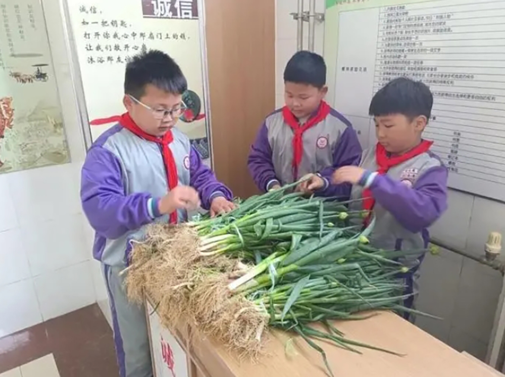 微信截图_20240905152032.png